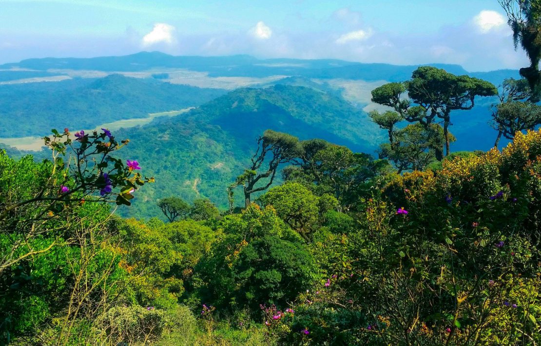Sri Lanka Horton Plains Uitzicht