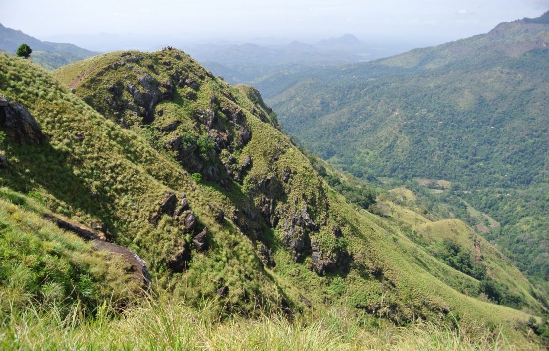 Berggebied Centraal Sri Lanka
