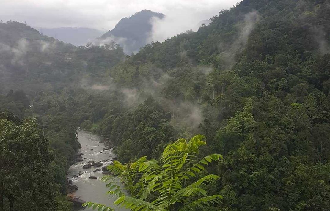 Bewolkte Jungle Sri Lanka