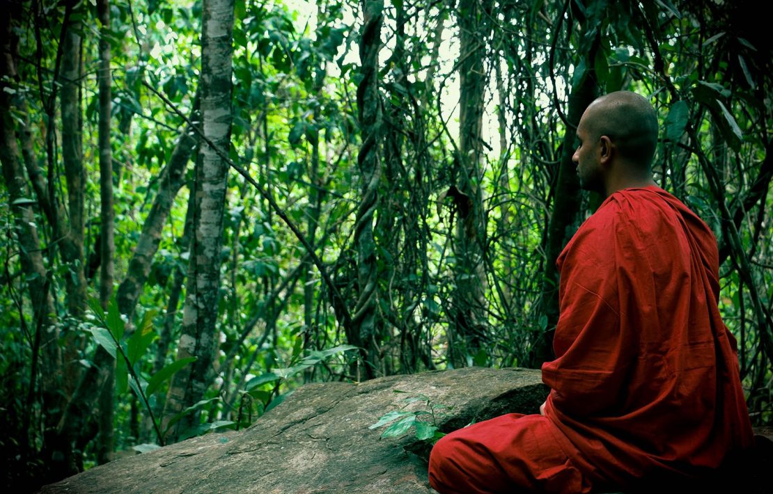 Mediteren In De Jungle Van Sri Lanka
