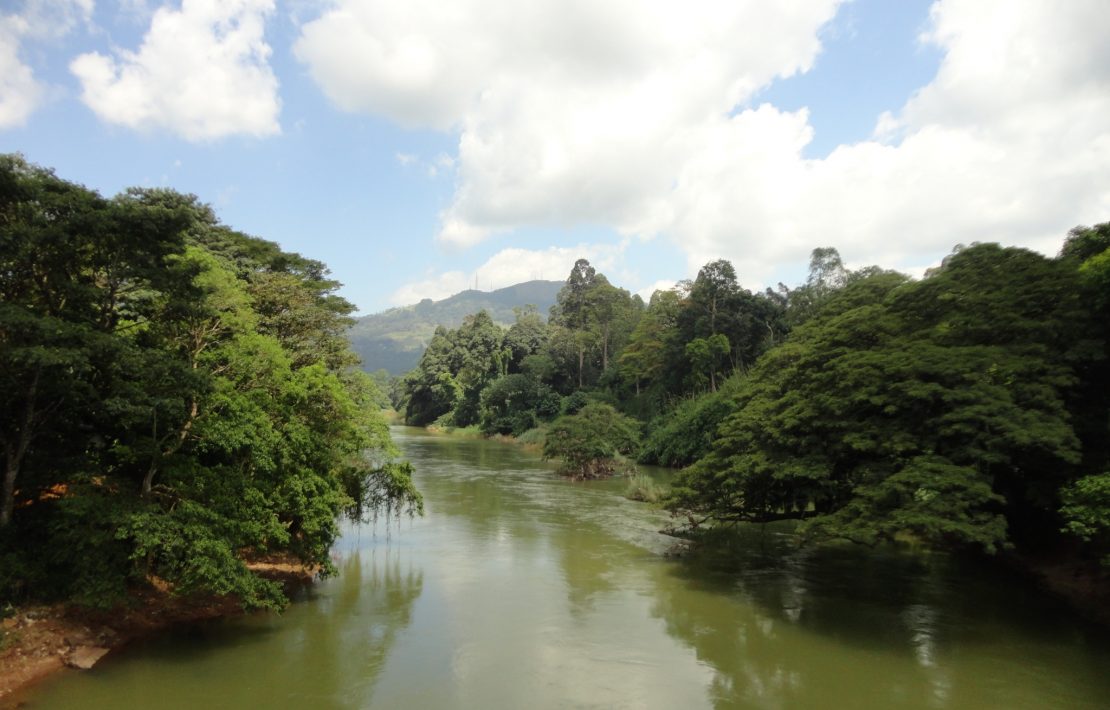 Rivier In De Jungle Van Sri Lanka