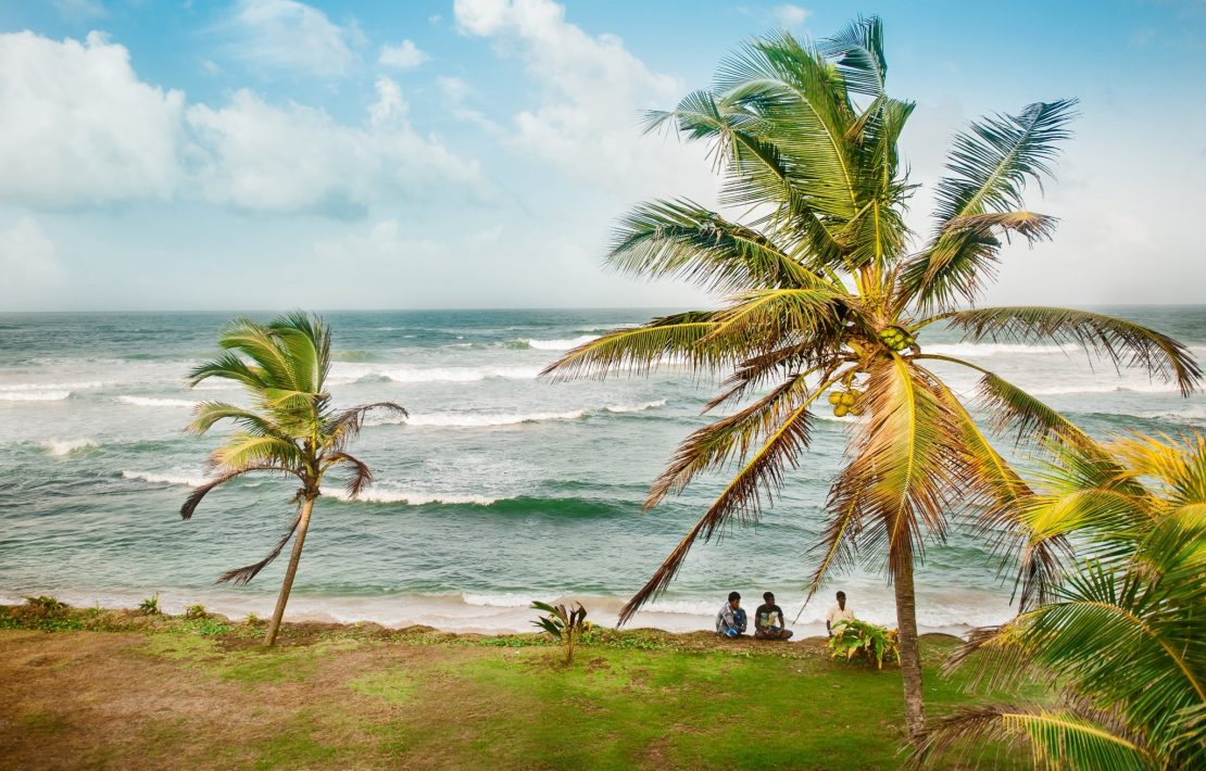 Zuidkust Sri Lanka Met Palmbomen