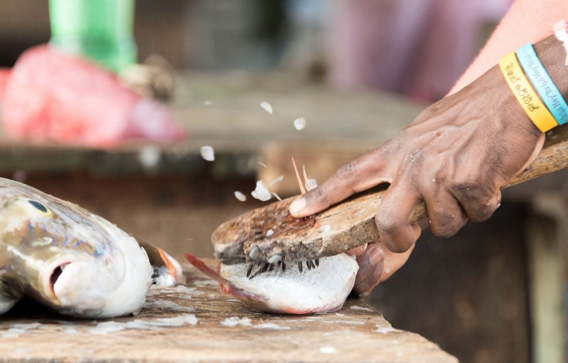 Vis Ontschubben Vismarkt Negombo