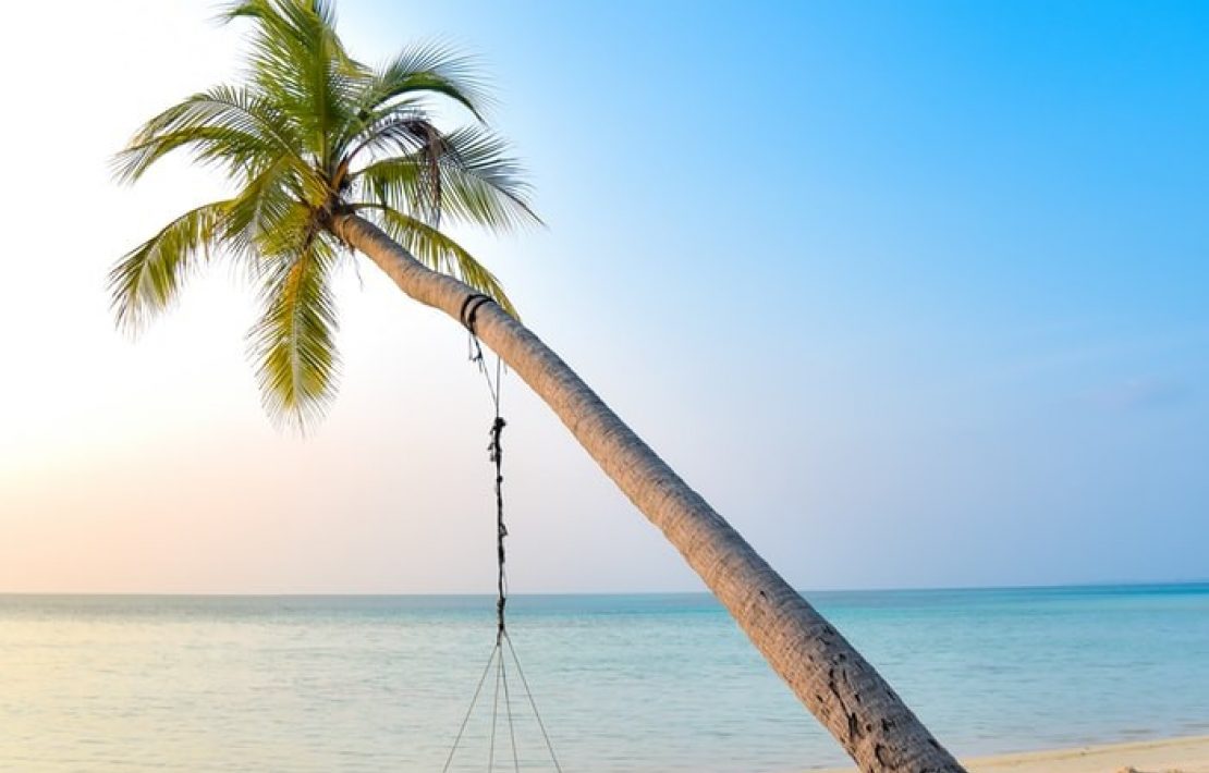 Strand Met Palmboom Sri Lanka