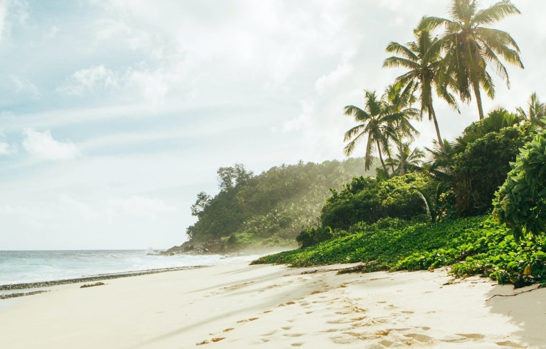 Onbewoond Eiland Seychellen Kustlijn
