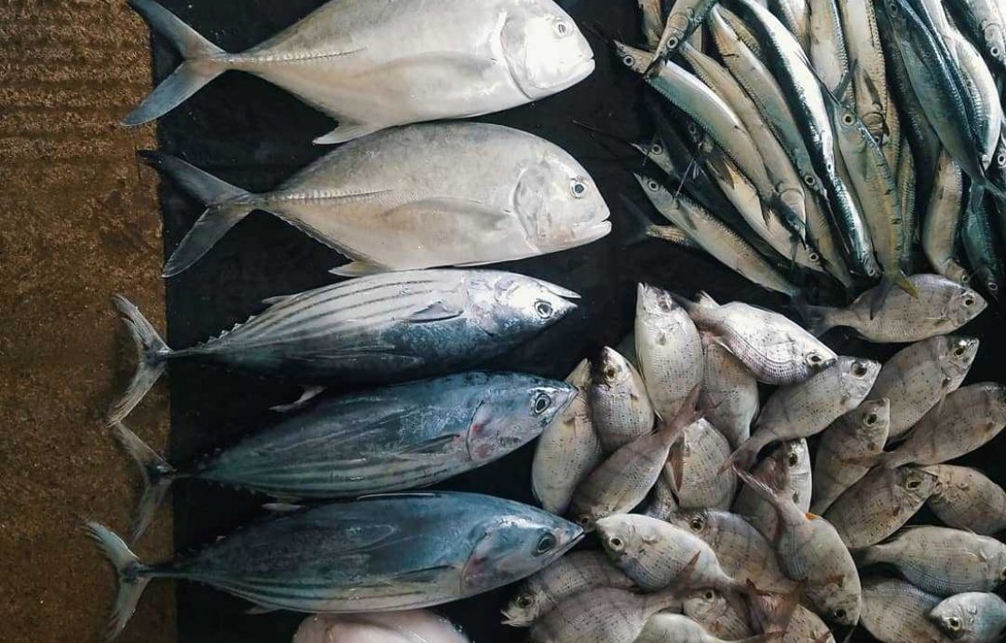Vismarkt Trincomalee