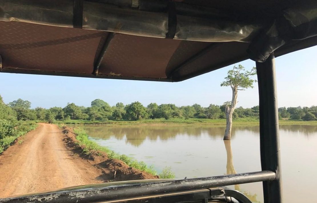 Zicht Vanuit Jeep In Udawalawe