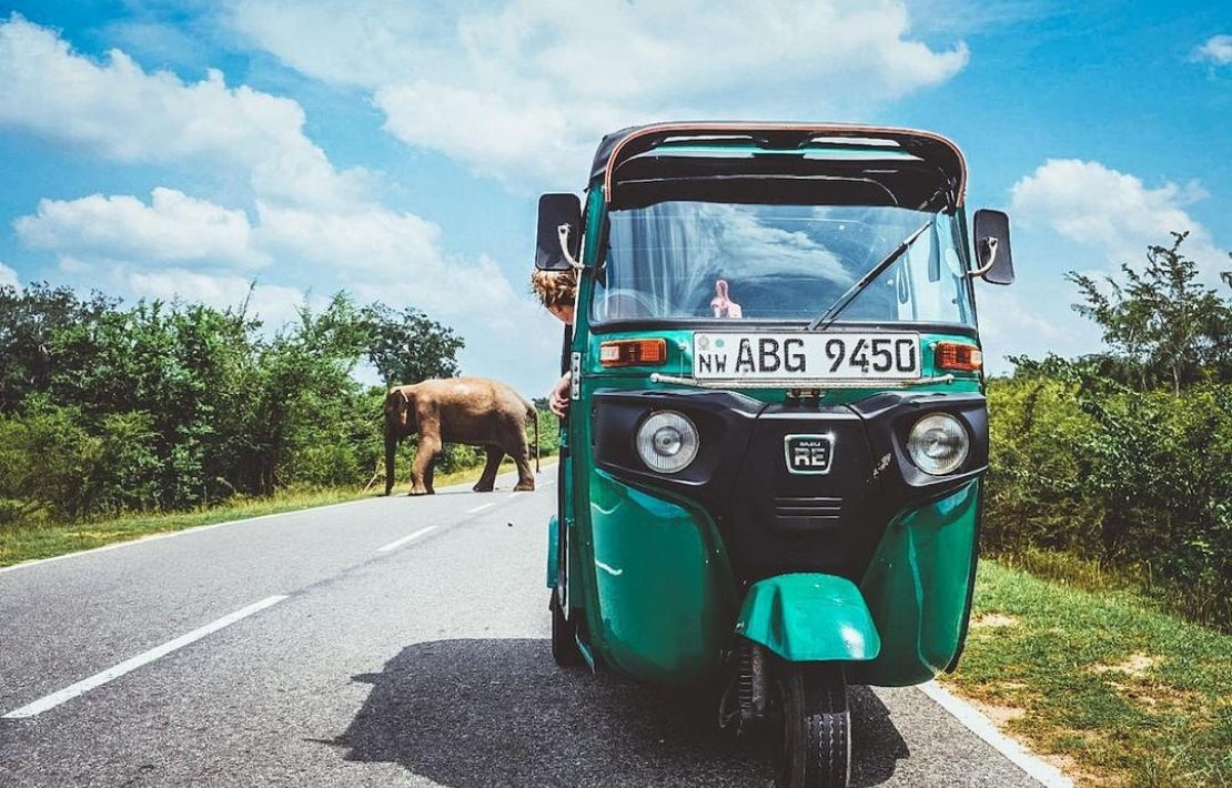 Olifanten Spotten Vanuit Je Tuktuk